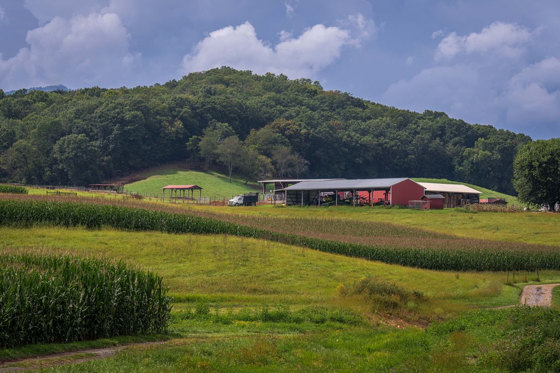 Green agricultural fields with rolling hills beyond them